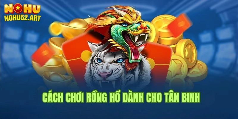 Mẹo Chơi Rồng Hổ Giúp Mọi Người Chơi Là Thắng Tại Nohu52